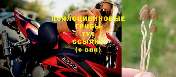 метадон Гусев