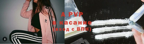 амф Гусиноозёрск
