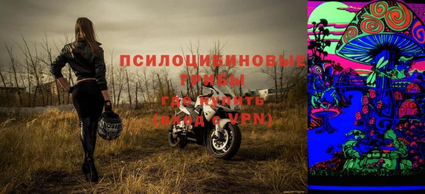 амф Гусиноозёрск