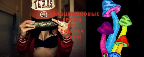 бутират Гусь-Хрустальный