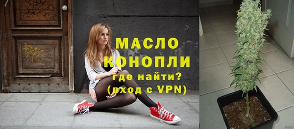 амф Гусиноозёрск