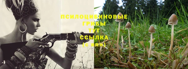 амф Гусиноозёрск