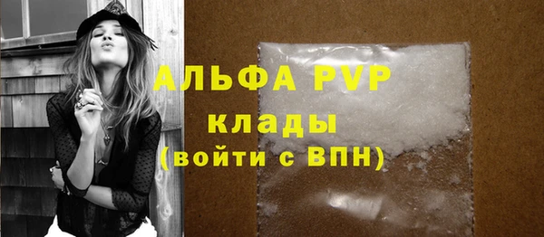 амф Гусиноозёрск