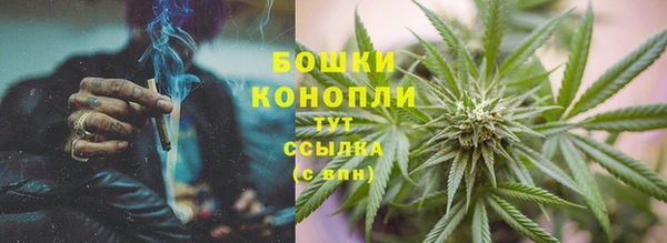 метадон Гусев