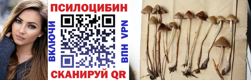 Купить где Бавлы Псилоцибиновые грибы мухоморы