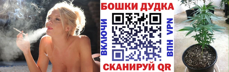 Купить  Бавлы  Бошки марихуана сатива 